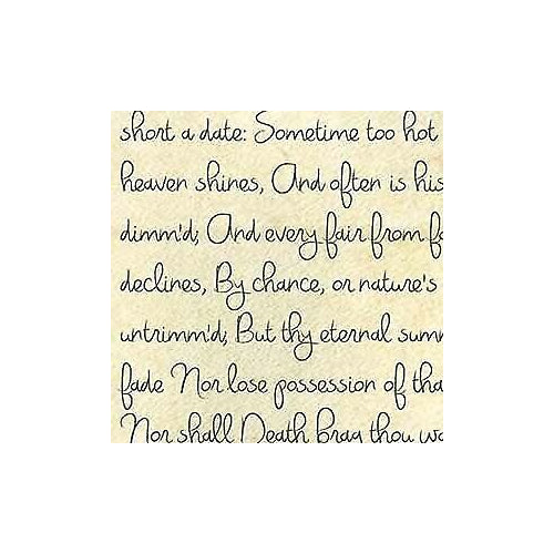 Savage Printed Background Paper (53" x 18', Romantic Script)