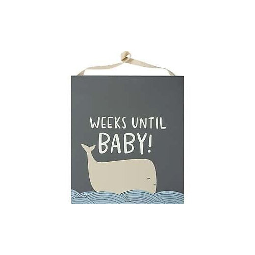 Primitives Chalk Countdown - Baby Sea