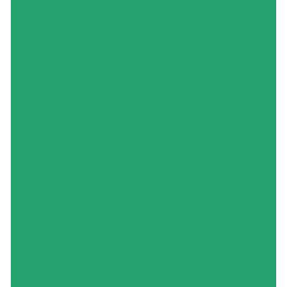 Westcott 10 x 12' Green Chromakey Sheet Background