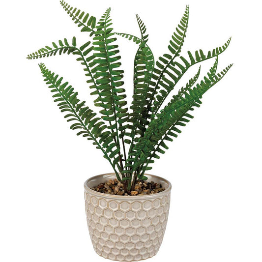 Primitives Planter - Honeycomb Fern