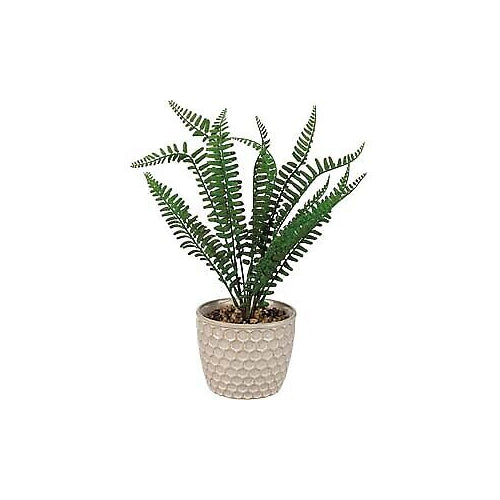 Primitives Planter - Honeycomb Fern