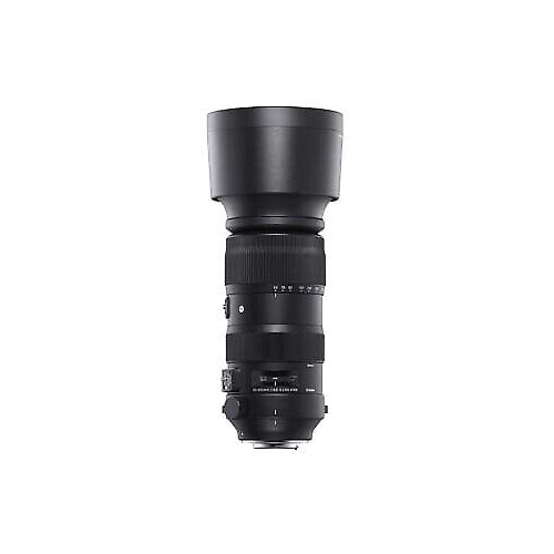 Sigma 60-600mm f/4.5-6.3 DG DN OS Sports (Sony E)