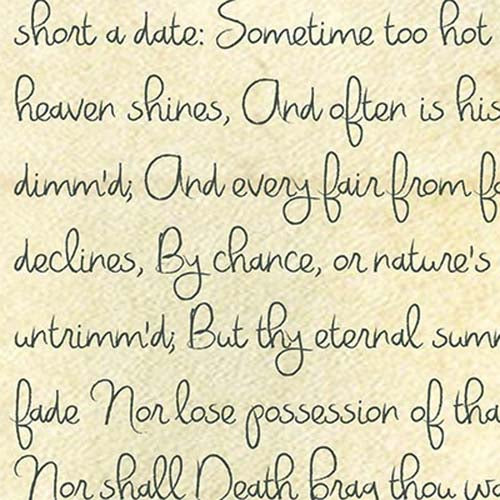 Savage Printed Background Paper (53" x 18', Romantic Script)