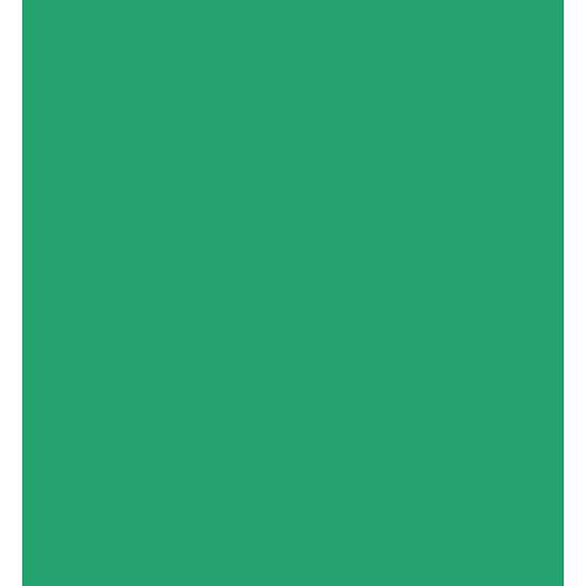 Westcott 10 x 12' Green Chromakey Sheet Background
