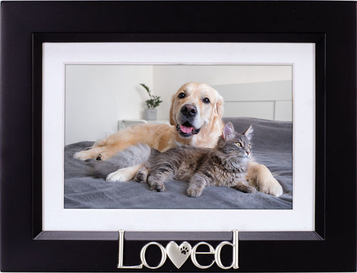 Malden 4X6 Loved Pet Frame